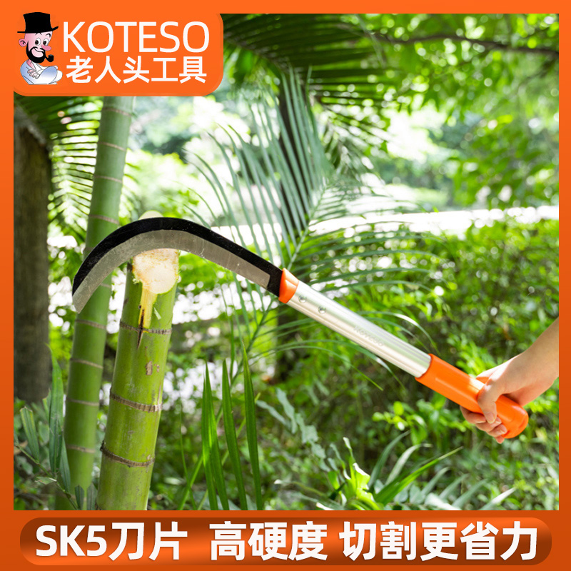 OLD man KOTESO HARVESTING wheat, cutting grass, cutting sickle, mowing knife