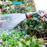 Гадин, Германия, возьмите импортированный 4 -мамочный домохозяйный водопал в саду сад сад сад посыпьте спрей для воды