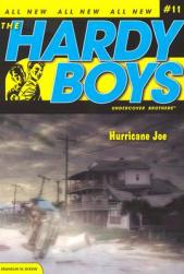 【预售】Hurricane Joe