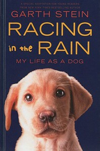 【预售】Racing in the Rain: My Life as a Dog