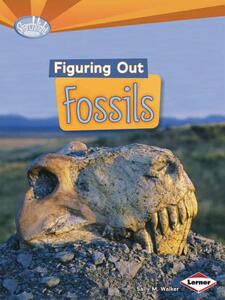 【预售】Figuring Out Fossils