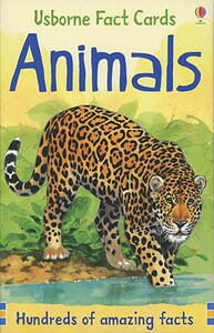 【预售】Animals