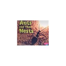 【预售】Ants and Their Nests
