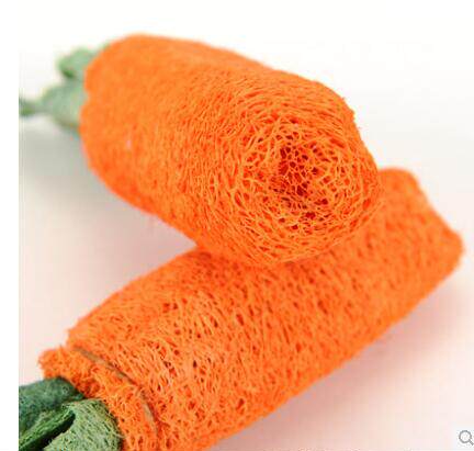 Carrapin Silk Melon Network Natural Pet Toy Grinders Clean Teeth Pet Supplies