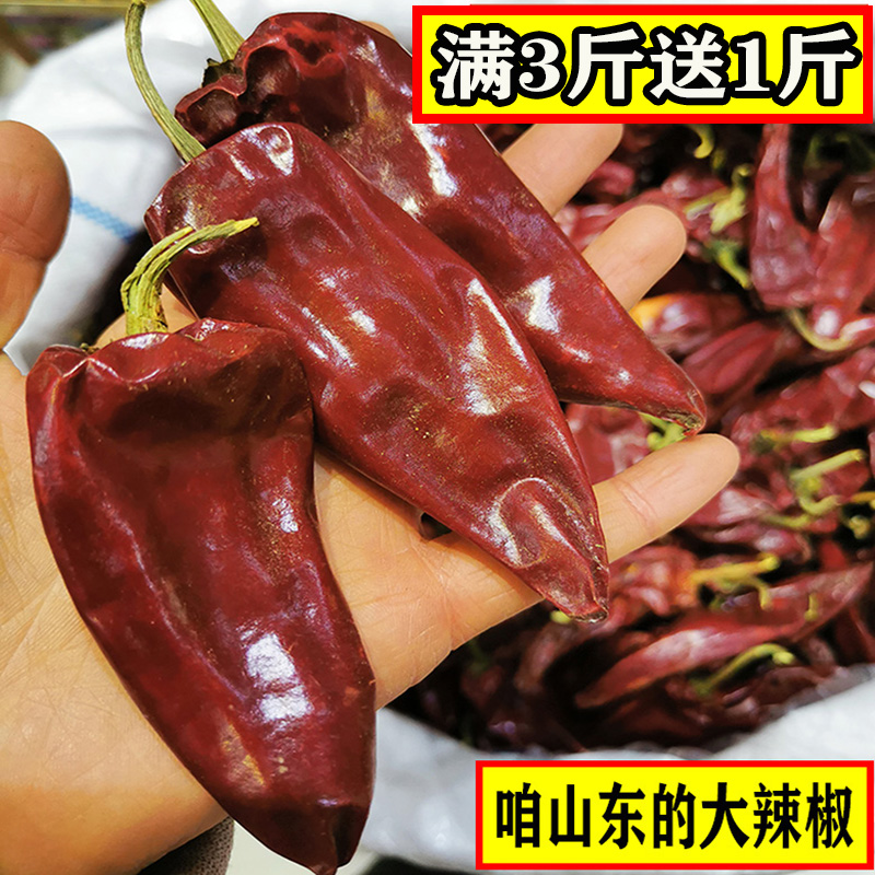 Shandong Red Dry Hot Chili Peppers Heezawa Single County Dry Red Big Chili Peppers in Boiled Goat Meat Soup Special Large Red Dry Peppers