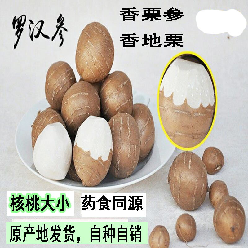 (Middle Fruits) Landmine Shandong Shan County Special Property Rohan Ginseng Fragrant Chestnut ginseng Three Leaf Youth Sea Gate Aroma Taro Fruits