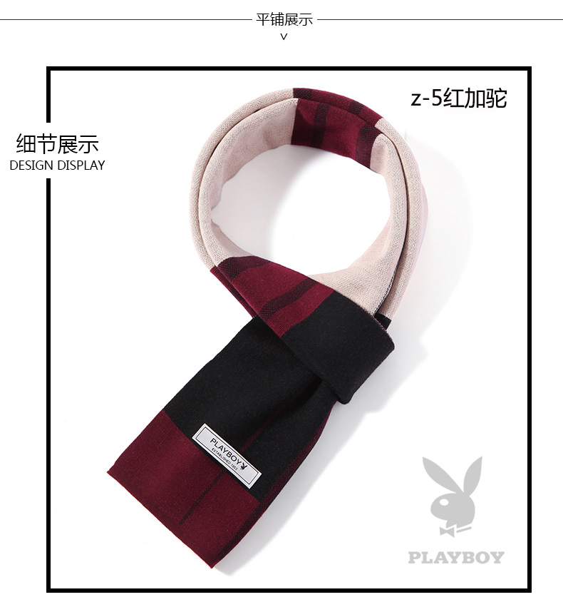 Echarpe pour homme en Laine - Ref 3161308 Image 11