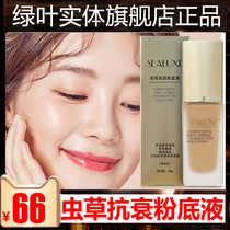 Green Leaf Hinox Foundation Cordyceps anti-aging moisturizing oil control Long-term makeup Concealer moisturizing skin nude makeup