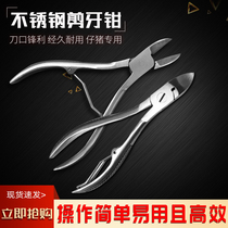 Beast with stainless steel cut teeth Pork Rabbit Sheep With Broken Teeth Cut piggy Broken Teeth Repair Tooth Suckling Pig Dog Cat Cut Tooth Pliers