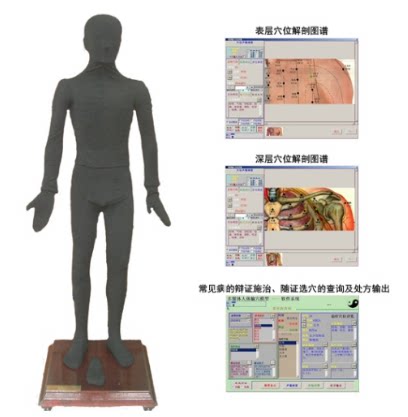多媒体点穴电子人体模型MAW-170A