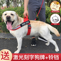 Dog leash strap Breastback strap walking dog rope Husky Labrador dog chain medium large dog pet supplies