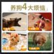 Pet dog muzzle, anti-biting artifact, anti-eating dog mask, anti-barking device, anti-barking cover, small, medium and large dog mouth mask net