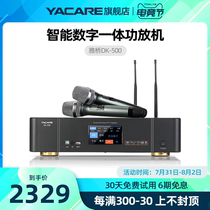 Yacare DK-500 Bluetooth amplifier High-power professional KTV microphone All-in-one machine Home amplifier