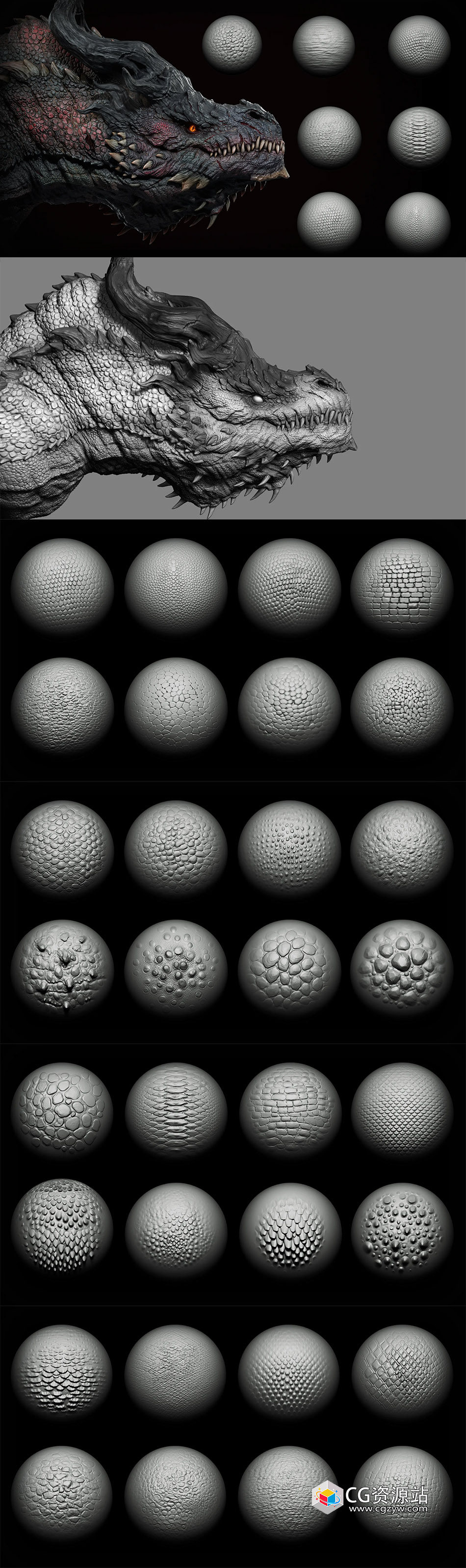 40 dragons and reptiles skins brushes