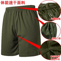 X800 армия зеленая скорость сухие шорты