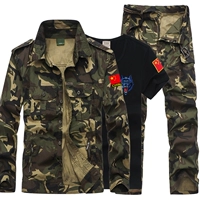 712 Желтый костюм+черная T -Fork 605