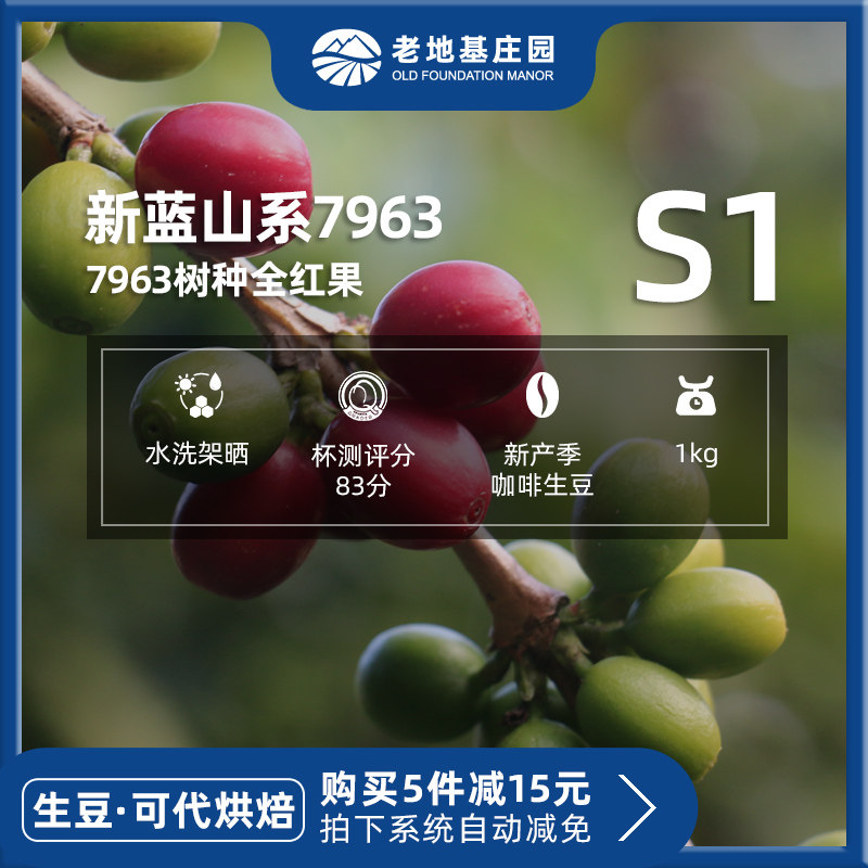 Mellow aromas New Blue Mountain washed 4A coffee raw beans Yunnan small grain coffee bean raw beans 1kg old foundation estate