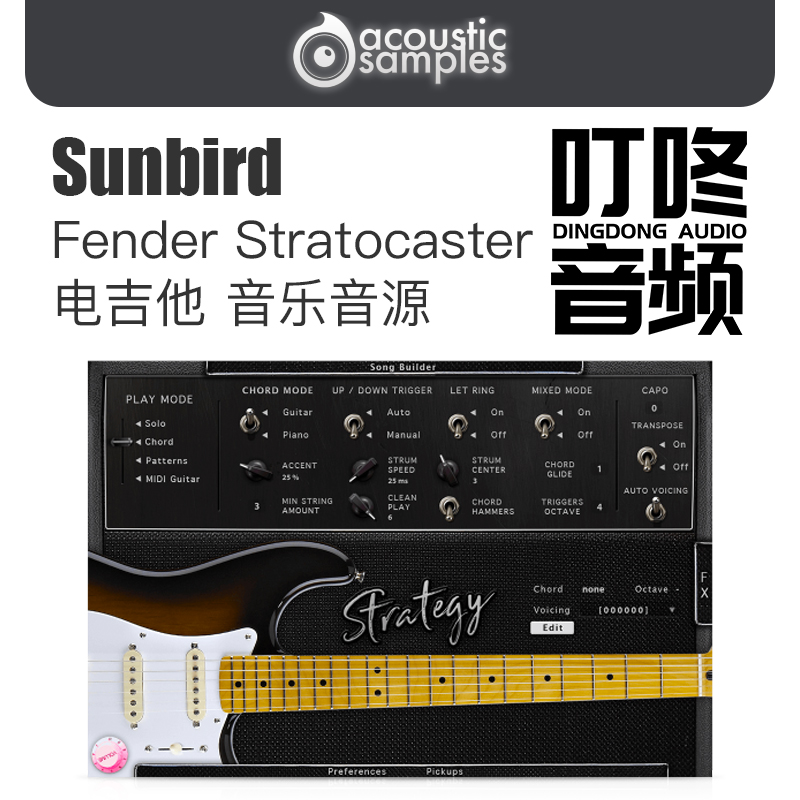 Acousticsample Strategy samples Fender © Stratocaster © electric guitars
