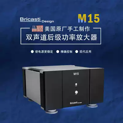 Ding Dong Audio Bricasti Design M15 Professional Dual Channel Rear Power Amplifier