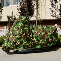 Камуфляж (без уха)