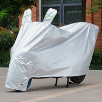 Ярко -серебряный цвет (утолщенный бархат)