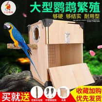 Medium and large parrot breeding box Golden sun monk gray parrot Amazon eclectic big red bird nest box