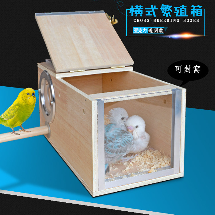 Transparent Horizontal Parrot Breeding Box Bird with Hyphoenix Tiger Leather Peony Nest Box Bird Nest Birds Nest Warm Bird Cage Accessories