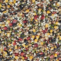 Yipinhong has corn pigeon food letter pigeon food with chickpeas ji product racing feed 50 pounds