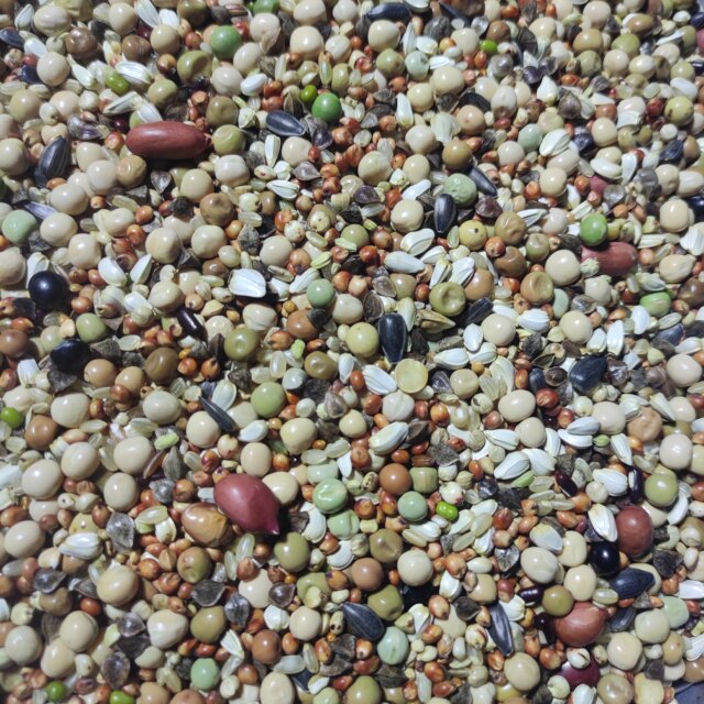 Liang Liang De Yi wheat-free ກາງເກງຫນຸ່ມຄລາສສິກ 50 ປອນສົ່ງຟຣີ