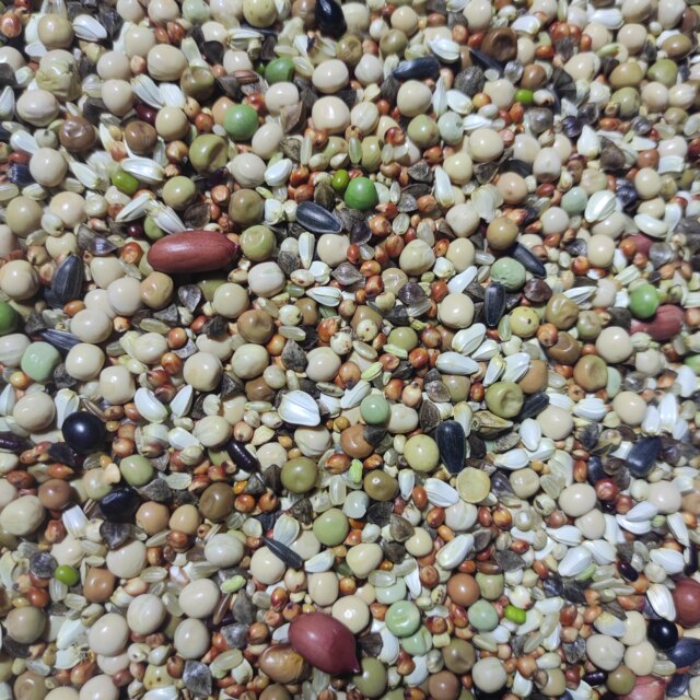 Liang Liang De Yi wheat-free ກາງເກງຫນຸ່ມຄລາສສິກ 50 ປອນສົ່ງຟຣີ