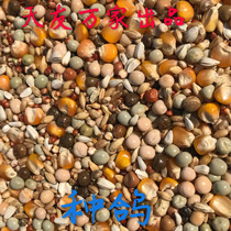Tianyou Wanjia Pigeon Food Breeding Pigeon Feed 50 Jin Pack