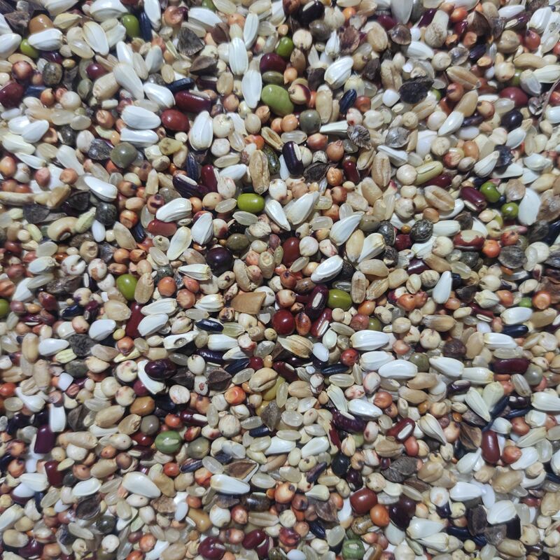 Liangliangdeyi Buckwheat Brooding Food 25kg Free Shipping to Jiangsu, Zhejiang, Shanghai, and Anhui