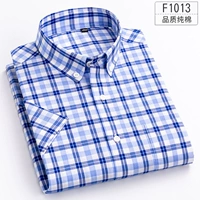 F1013