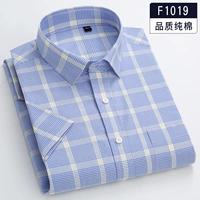 F1019