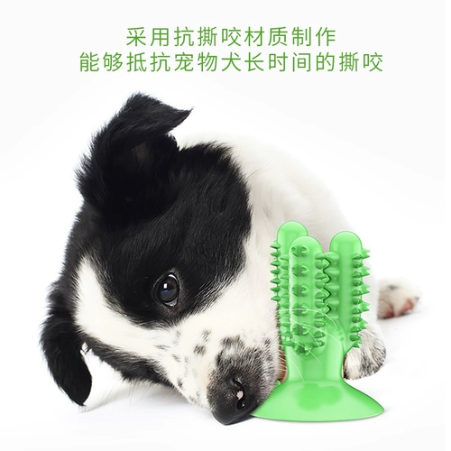 Собачья игрушка Ball Big Dog маленькая собачья маска золото, дифференциальные зубы мао Цзи, укусить домашние продукты