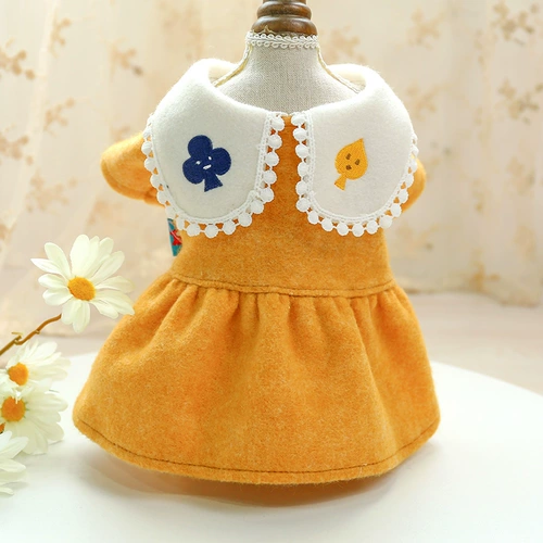 Одежда щенка в осенней шерстяной шерстяной юбке Тедди Бибели маленькие щенки щенки щенки VIP -кошки и домашние животные для кошек осенью и зимой