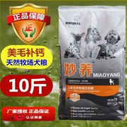 Số lượng lớn 10 kg Bomeigui Teddy Satsuma Golden Hair Beauty Canxi Puppy Food 5 General