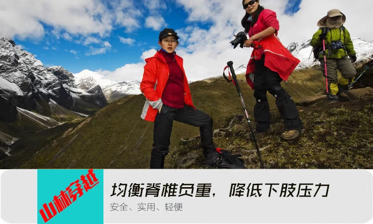 Minghui thiết bị carbon trekking cực mía đi bộ đường dài cắm trại leo núi du lịch thiết bị ngoài trời siêu nhẹ chính hãng - Gậy / gậy