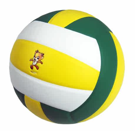 Ballon de volley-ball - Ref 2010977 Image 4