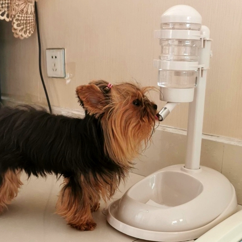 Pet non-wet mouth dog water dispenser automatic hanging type than bear water drinker cat feeder vertical kettle supplies