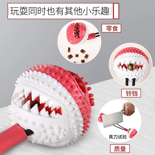 Собака для любимой собаки Golden Mao Labrado -Smoked гладкий