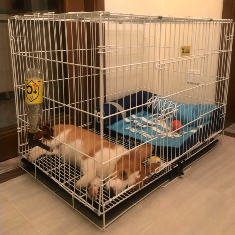 Dog Cage With Toilet Cat Cage Pet Farhopper Small Medium Sized Large Dog Fence Home Kirky Separation Fence