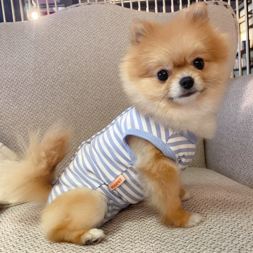 Собачья одежда защищает живот и предотвращает прохладный летний плюшевый щенок Тонкий летний маленький собачья пижама