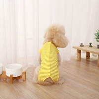 (Стиль хлопка) Желтый ветер без без живота.