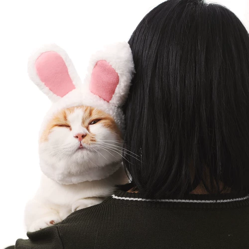 Кролик, аксессуар для волос, шлем, милая шапка, домашний питомец, кот, наряжаться, котенок