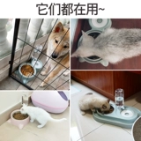 Собачья миска для собачьей чаши кошка двойная миска с собачьем горшок с рисовым горшками кошачьи корма для собачья корма для рисовой миски для употребления пить