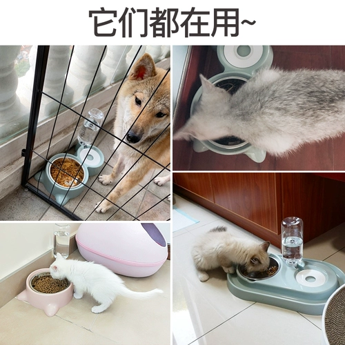Собачья миска для собачьей чаши кошка двойная миска с собачьем горшок с рисовым горшками кошачьи корма для собачья корма для рисовой миски для употребления пить