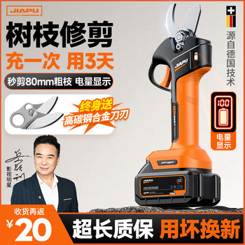 Electric Pruning Shears, Hand-Held Lithium-Ion Shears for Cutting Branches and Fruit Trees, Rechargeable Electric Shears, Scissors Imported from German