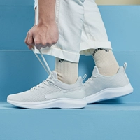 Грей/Чжэнбай 3231