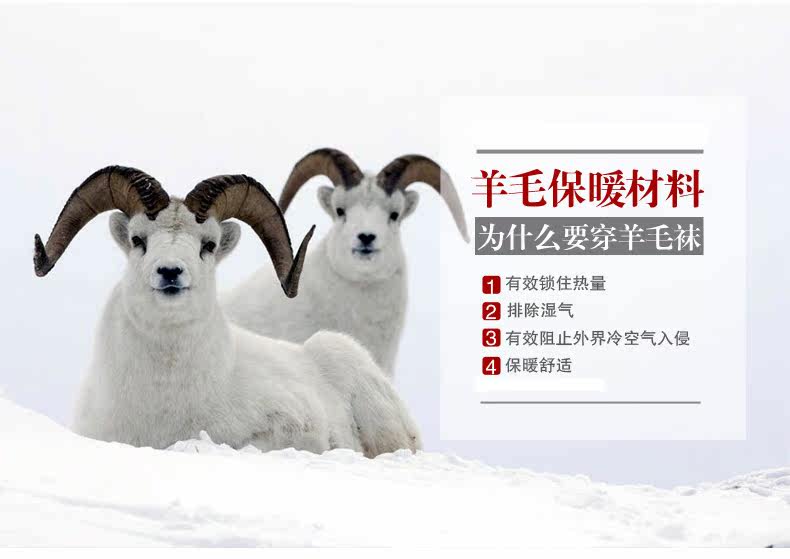 Chaussettes - collants LP11509402 - Ref 760354 Image 10